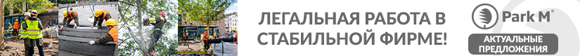 ParkM(ros) ParkM(ros)