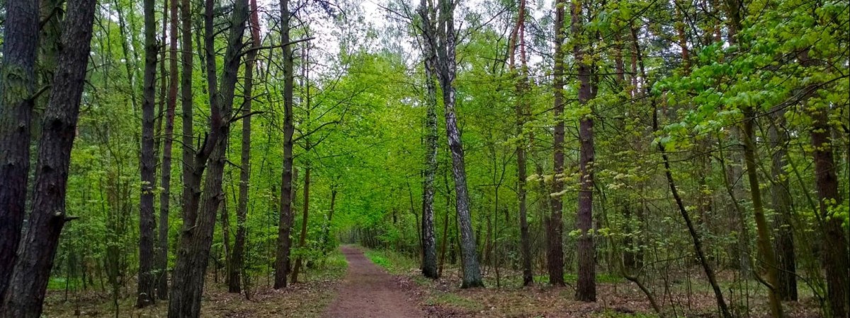 У Польщі троє працівників з України врятували від смерті молодого поляка