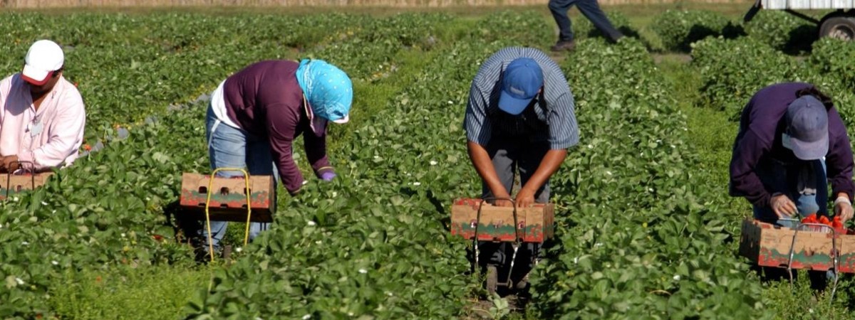 На 20 тис злотих оштрафували фірму в Польщі за незаконне працевлаштування іноземців