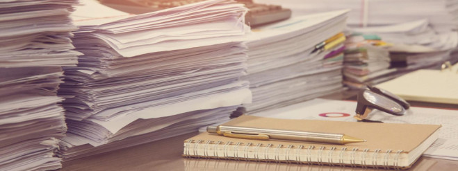 Polonia cambia las reglas: libertad para los perros, prohibiciones para las personas