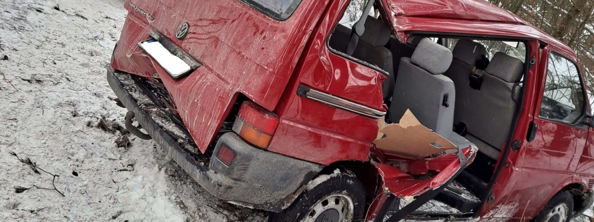 У Польщі бус з українцями злетів зі слизької дороги й врізався в дерево