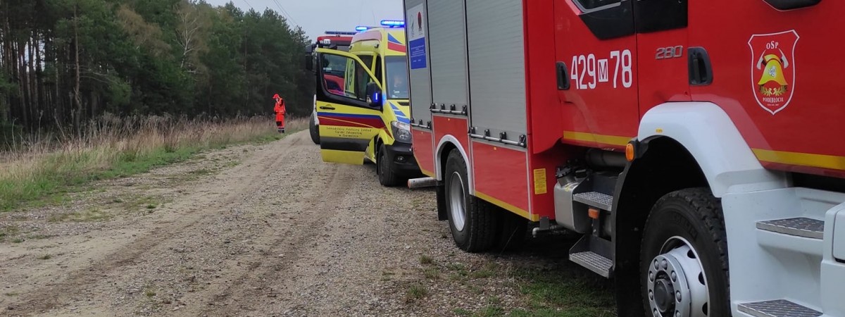 У Польщі потяг збив насмерть 11-річну дівчинку з України