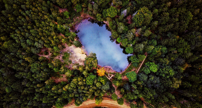 5 розкішних місць для осіннього відпочинку на вікенд у Польщі