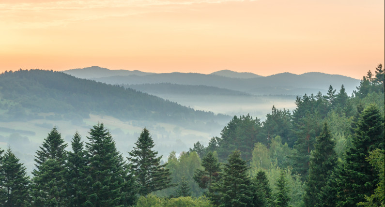 Польські Бещади - незаймана природа та самотність під зірками. Куди варто поїхати