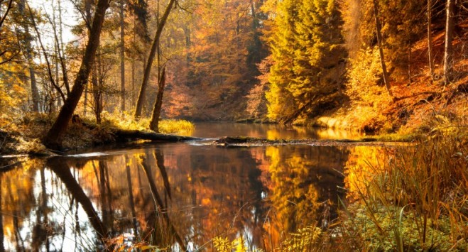 Осінь у горах: 7 мальовничих місць у Польщі, які варто відвідати цієї пори