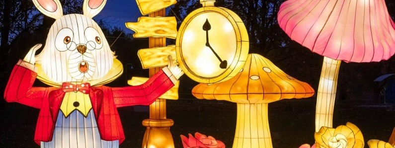 Свято, яке видно з космосу: 15 парків ілюмінації в Польщі – локації, ціни