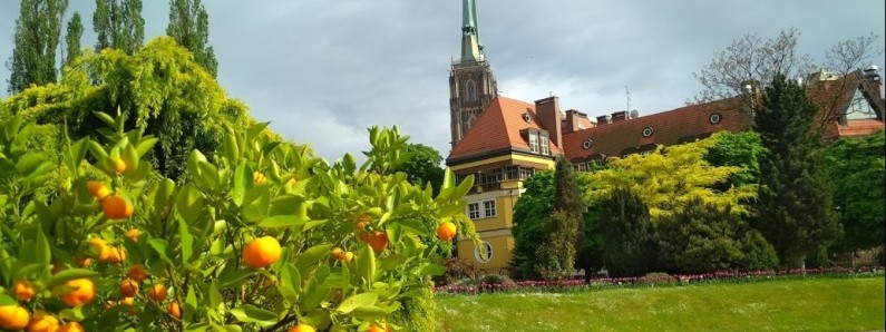 Названо найбільш екологічні міста Польщі в 2023 році