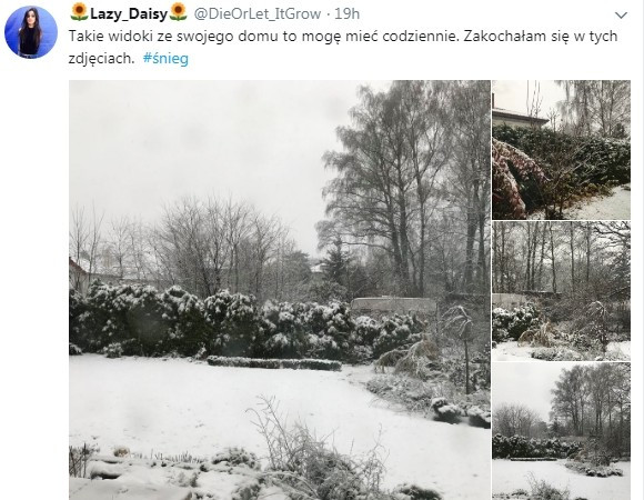 Сообщение из соцсети Twitter, пользователь Lazy_Daisy