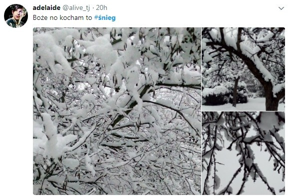 Сообщение из соцсети Twitter, пользователь adelaide@alive_tj
