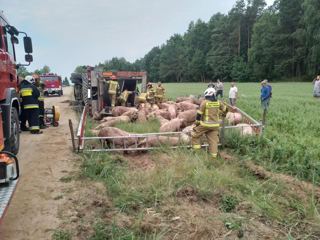 Фото з місця пригоди